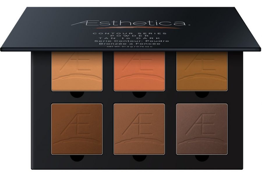 Aesthetica Dark Square Powder Contour Kit - 48 Units